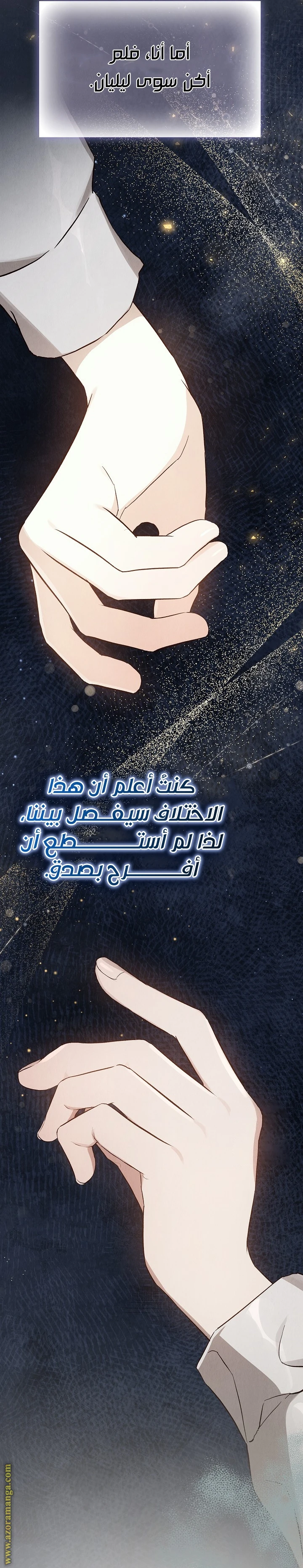 الصفحة 47
