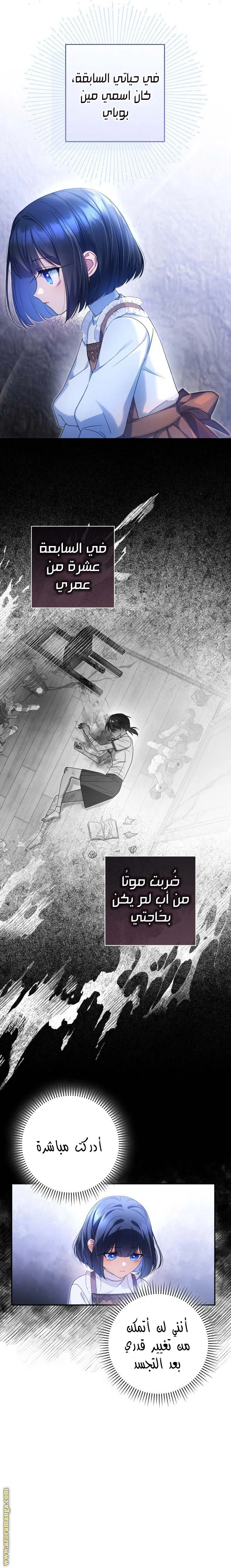 الصفحة 13
