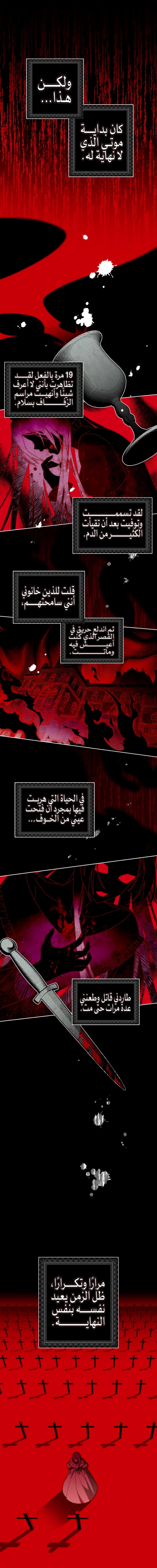 الصفحة 17