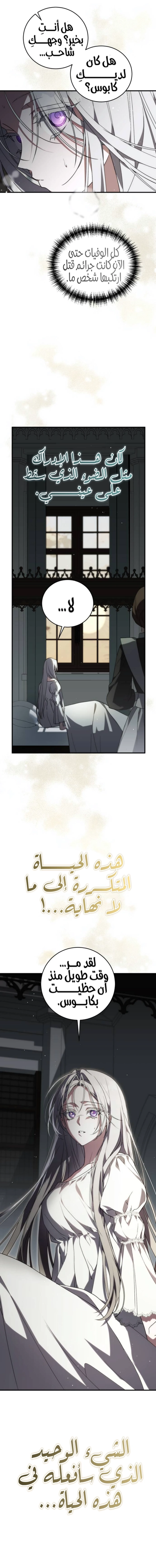 الصفحة 25