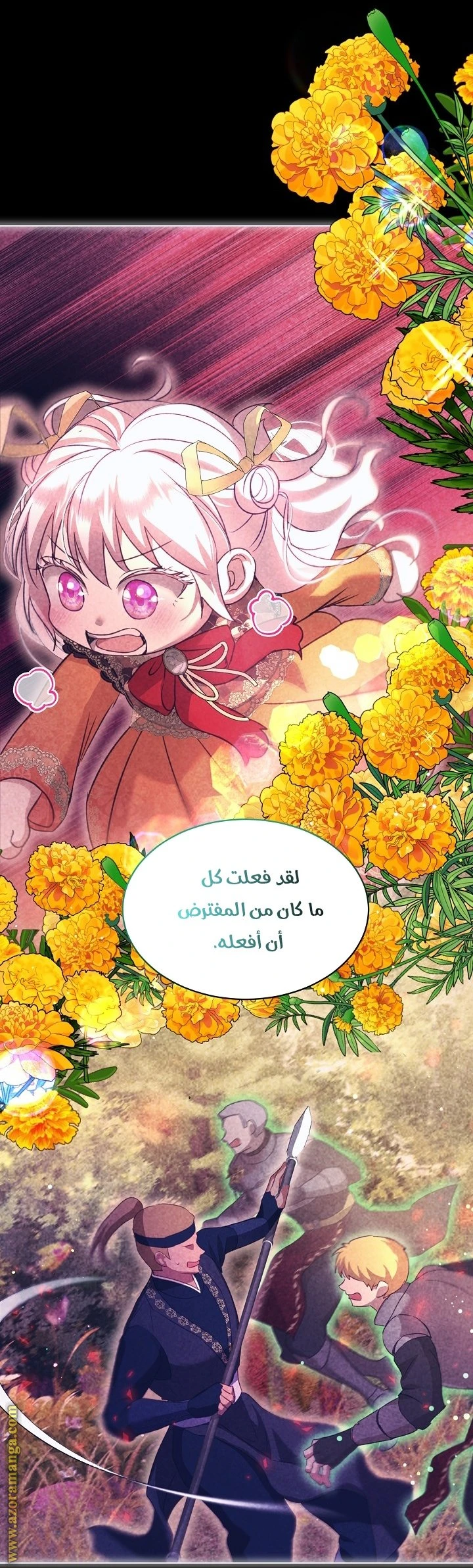 الصفحة 27