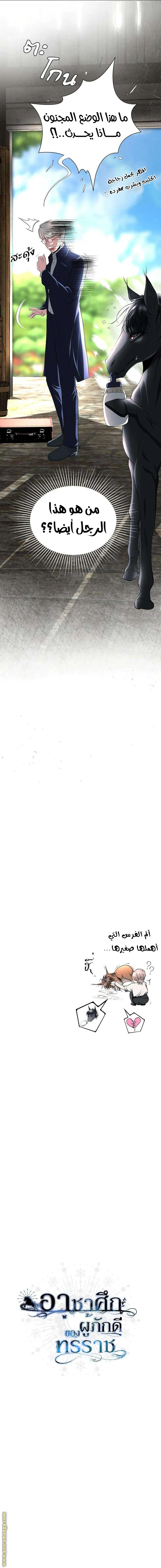 الصفحة 13