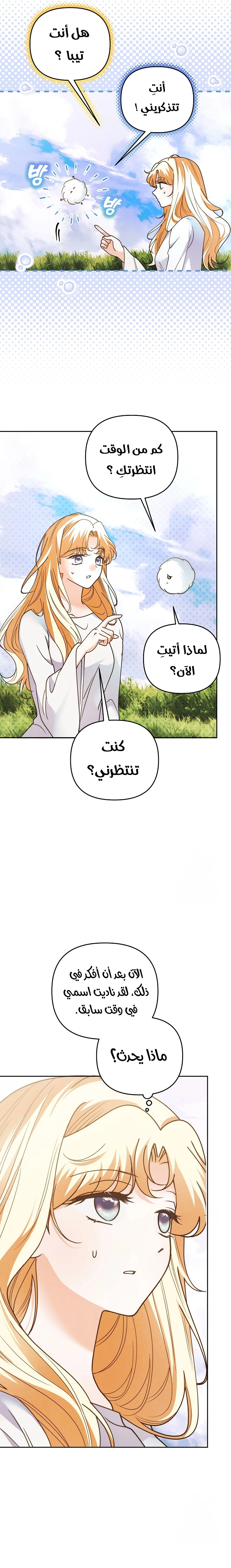 الصفحة 17
