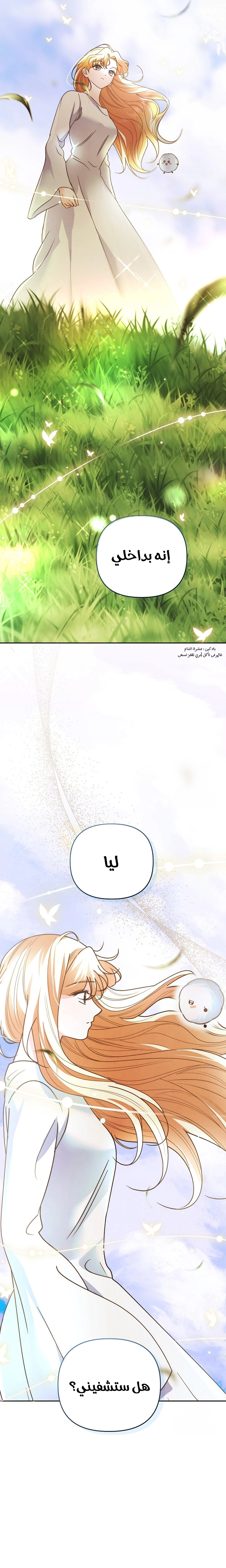 الصفحة 20