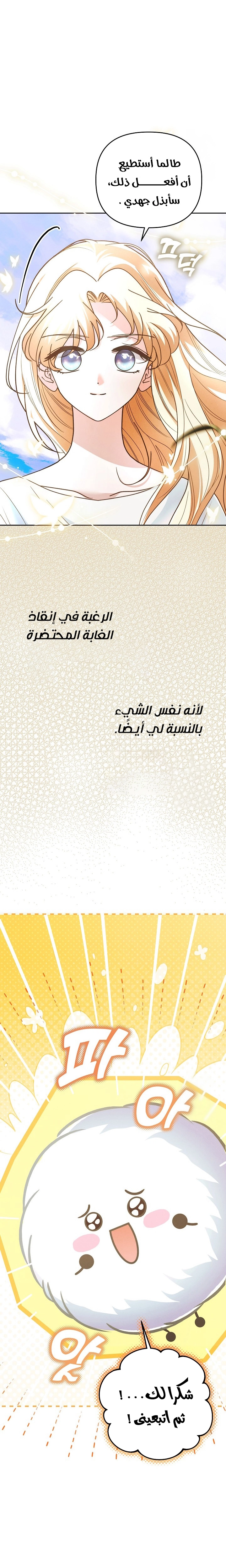 الصفحة 21