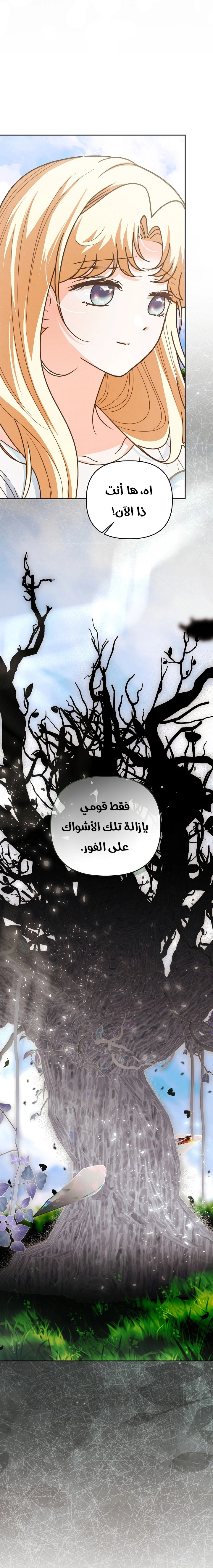الصفحة 24