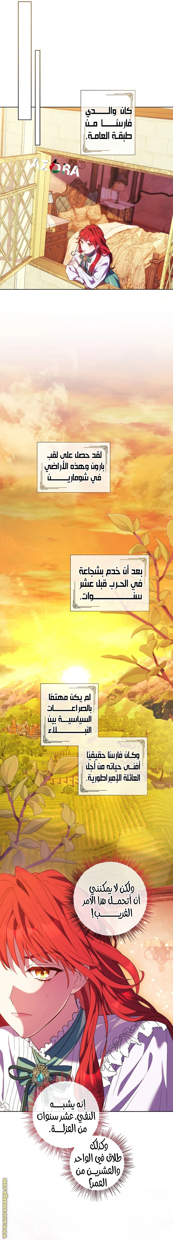 الصفحة 15
