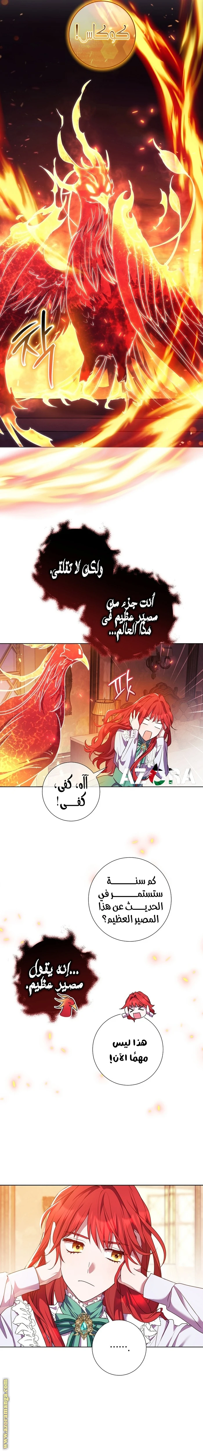 الصفحة 17