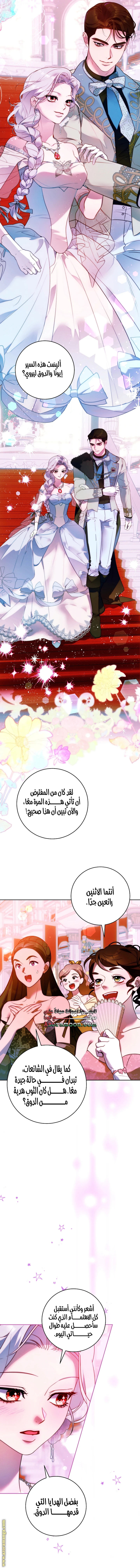الصفحة 13
