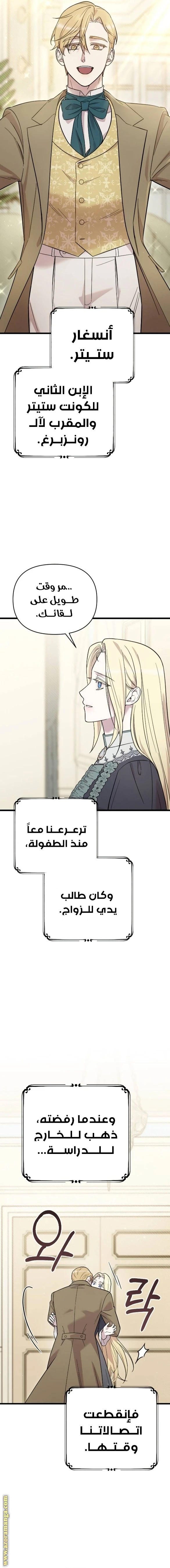 الصفحة 13