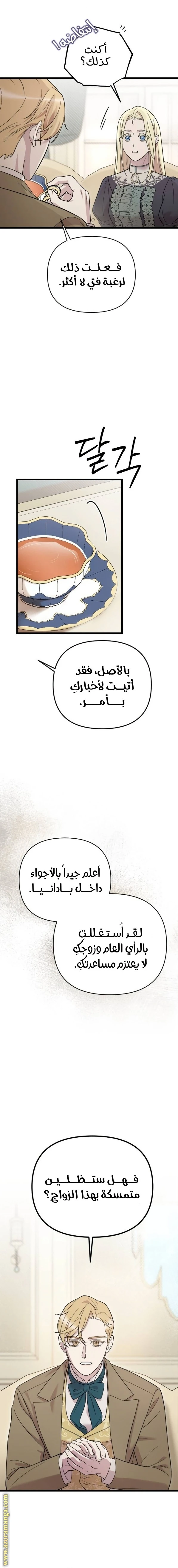 الصفحة 17