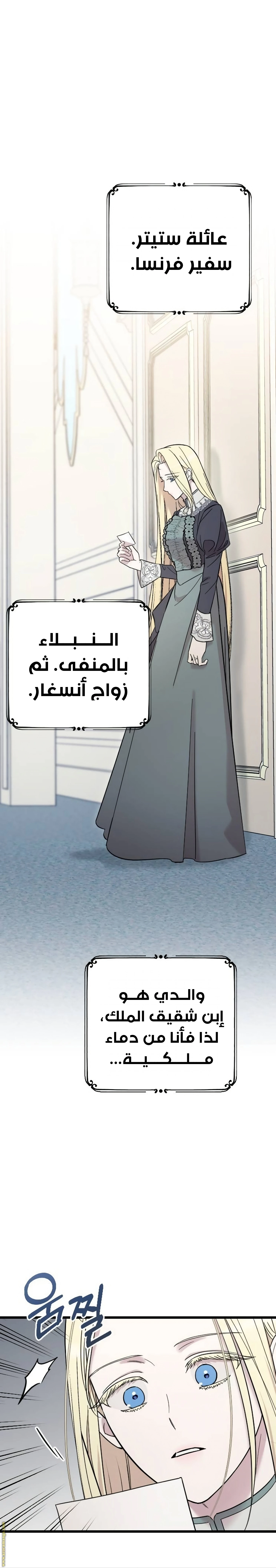 الصفحة 24