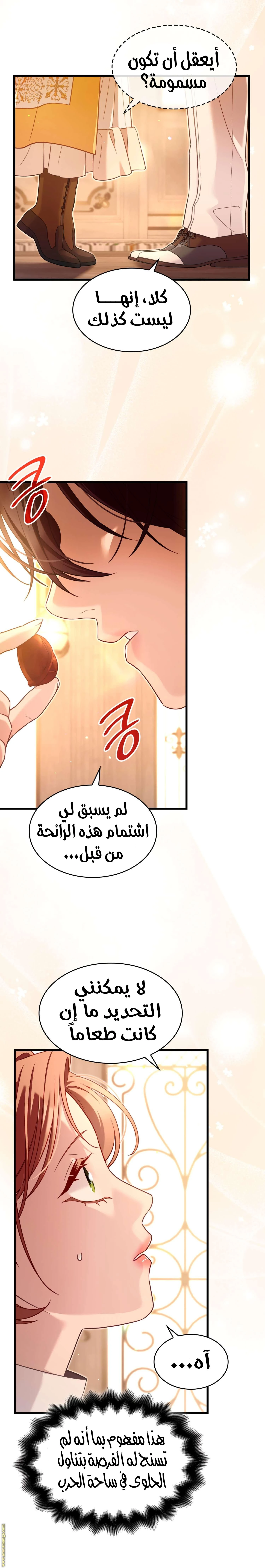 الصفحة 27