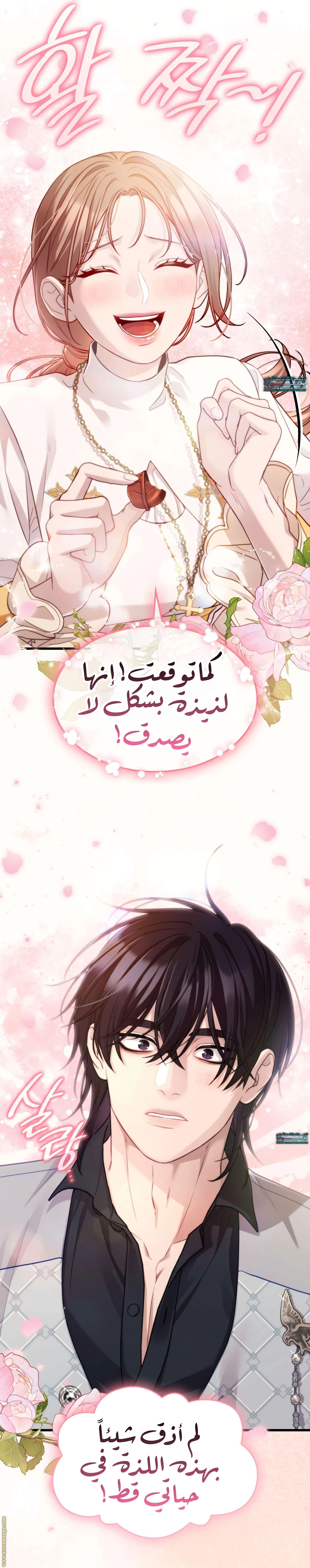 الصفحة 30