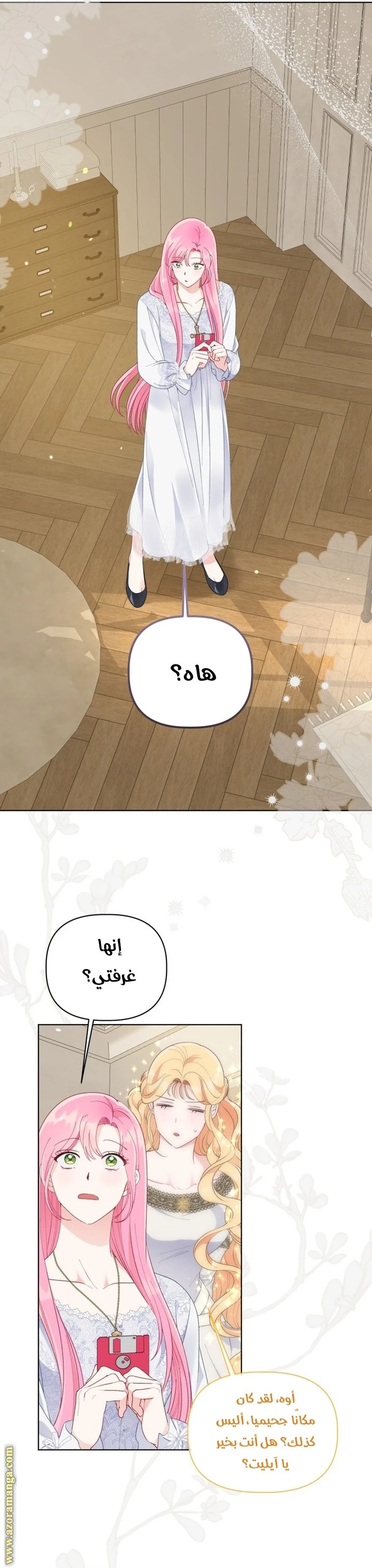 الصفحة 29