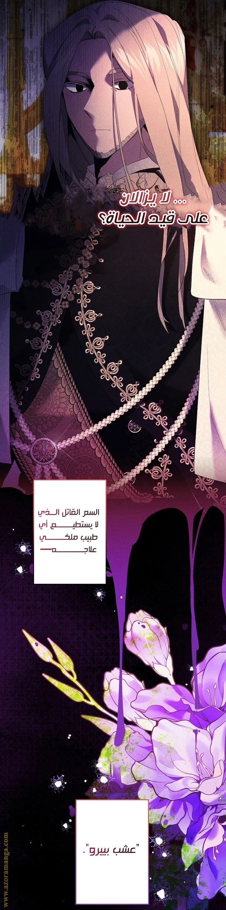 الصفحة 6