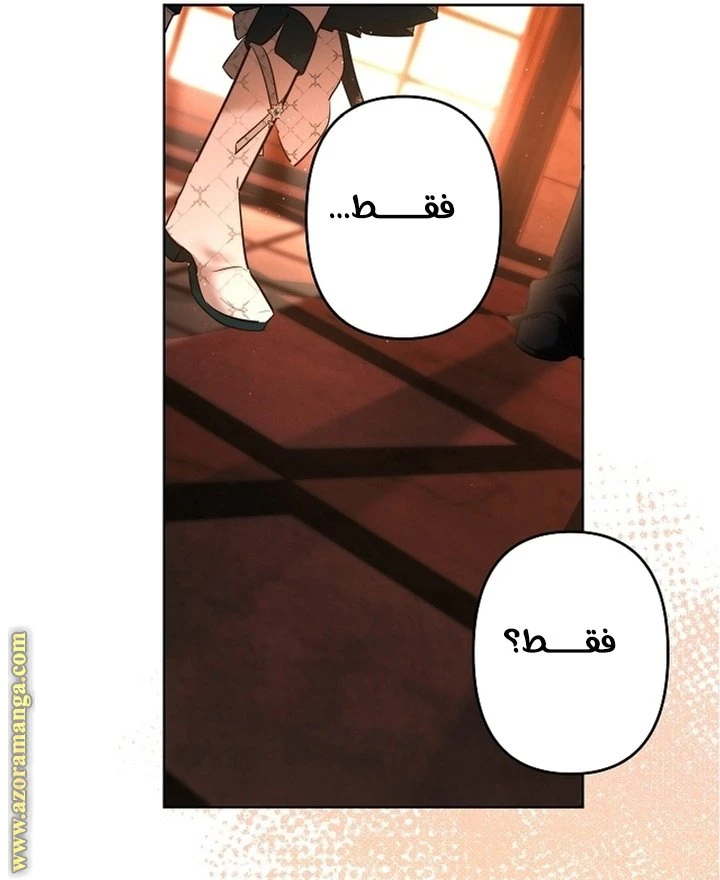 الصفحة 27