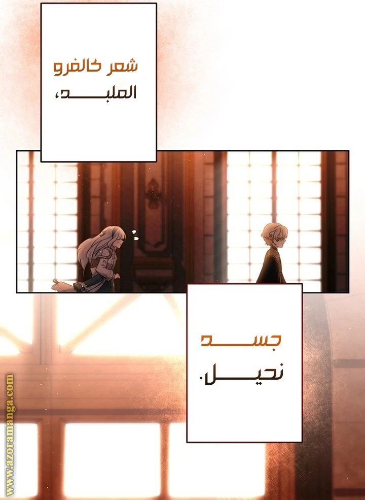 الصفحة 31