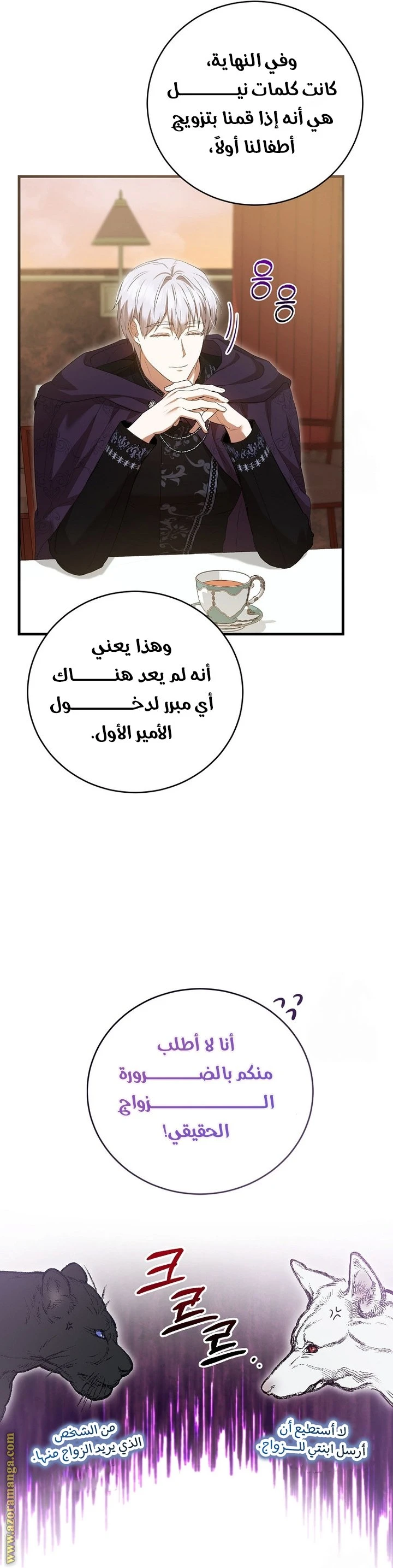 الصفحة 13