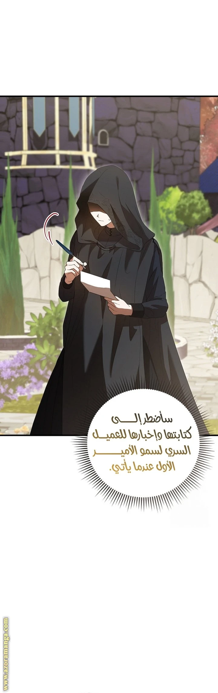الصفحة 27