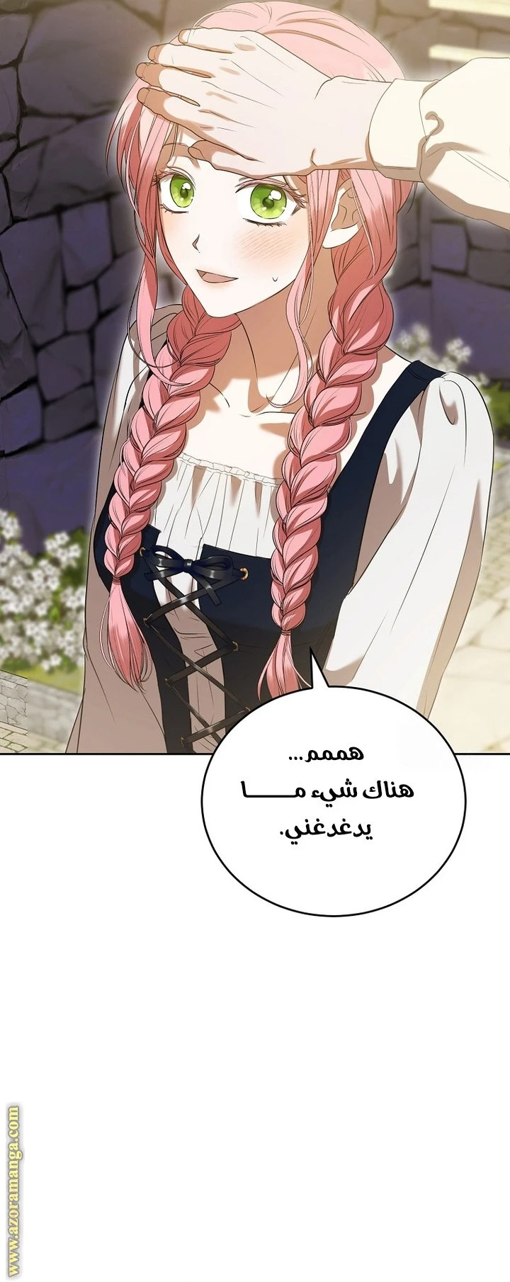 الصفحة 38