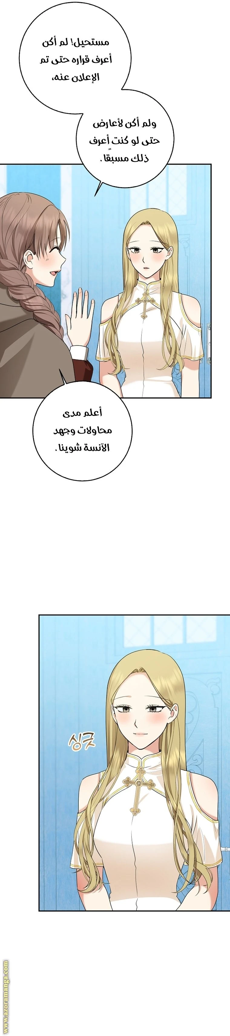 الصفحة 20