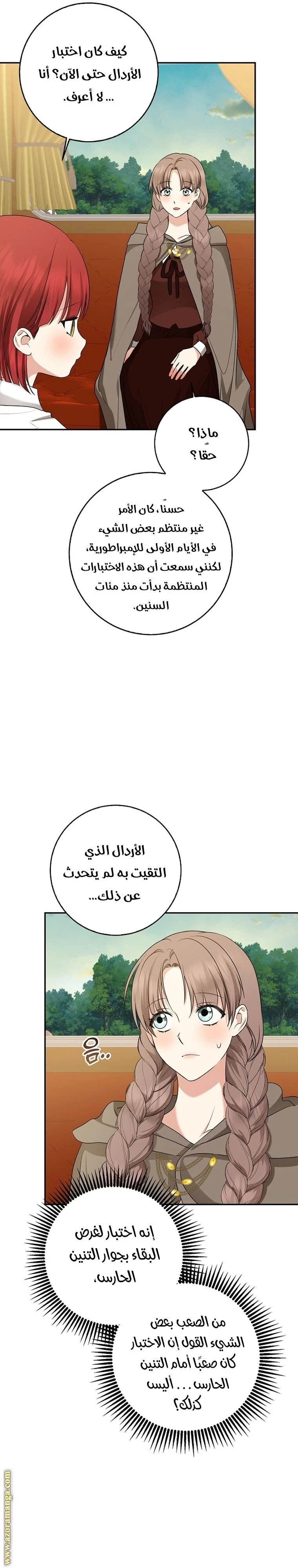 الصفحة 27