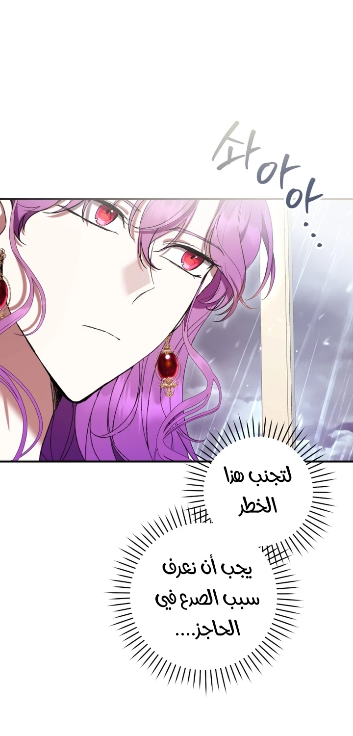 الصفحة 47