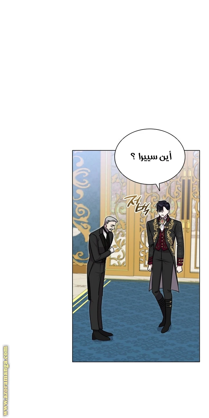 الصفحة 21