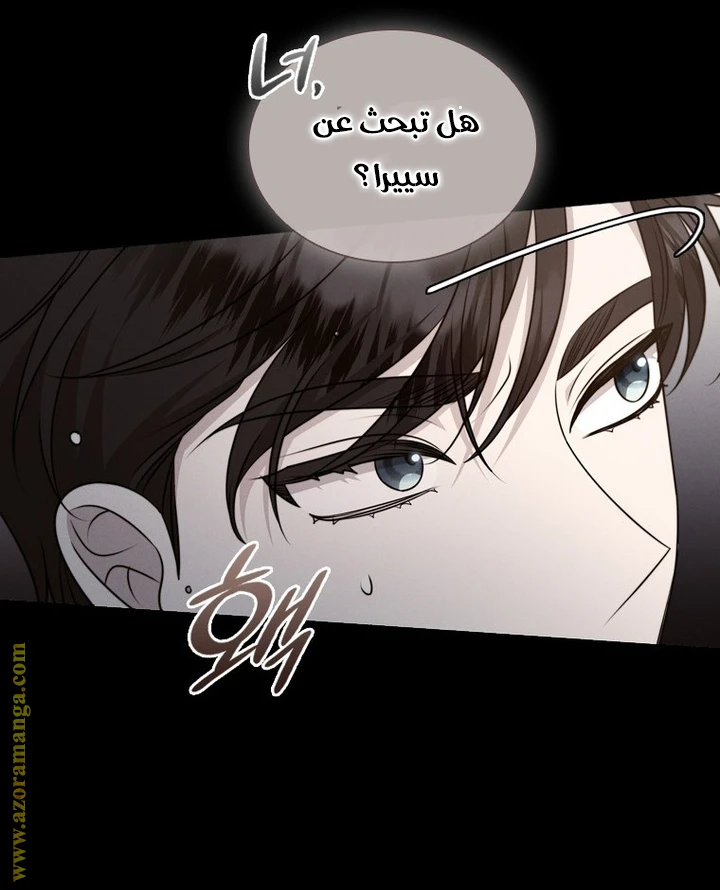 الصفحة 33