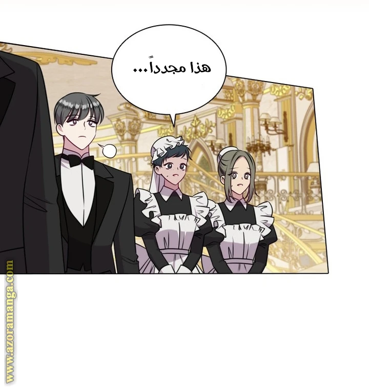 الصفحة 41