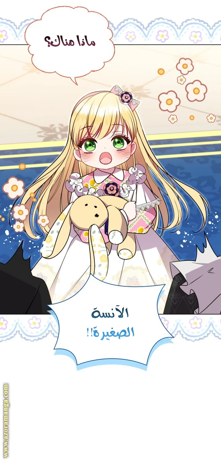 الصفحة 43