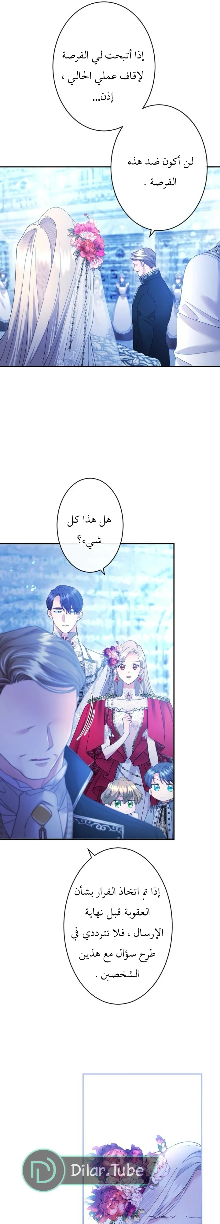 الصفحة 17