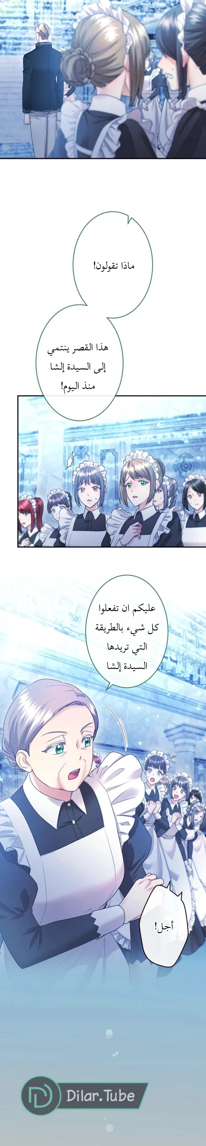 الصفحة 21