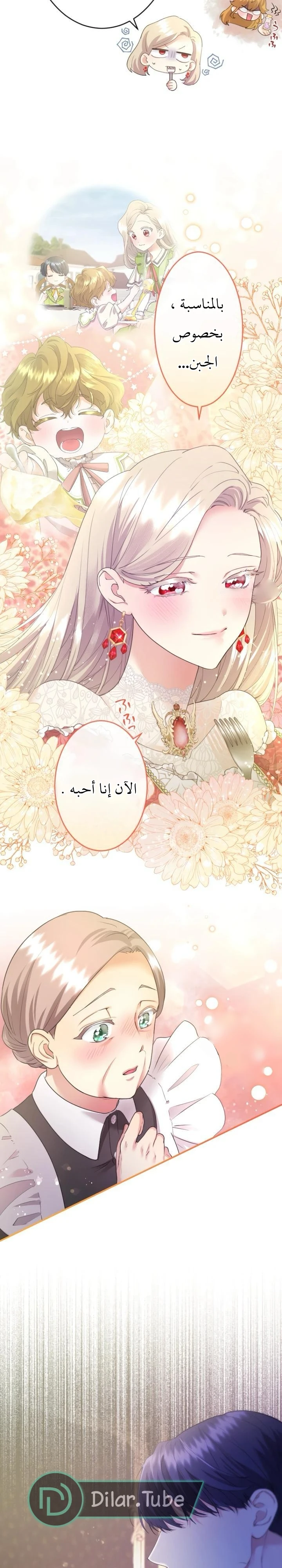 الصفحة 26