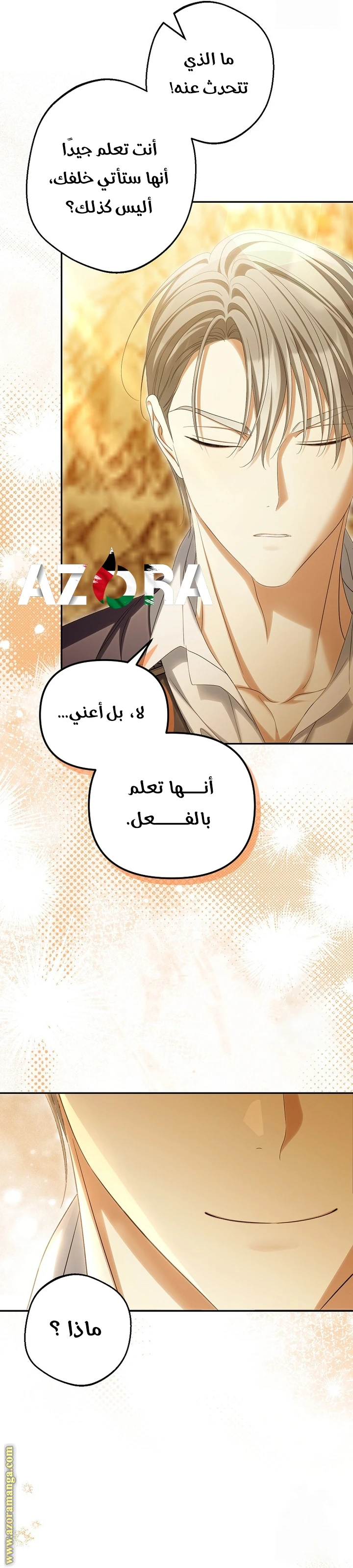 الصفحة 17