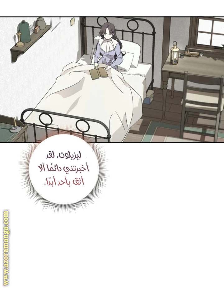 الصفحة 52