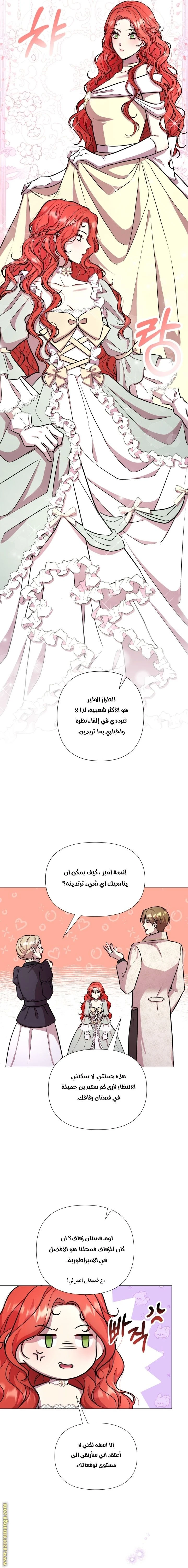الصفحة 19