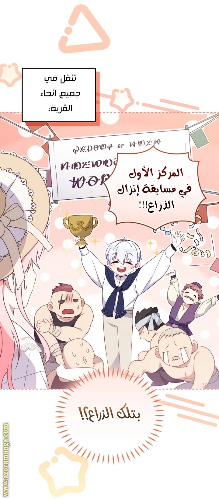 الصفحة 17