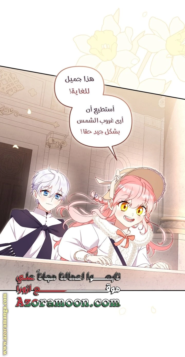 الصفحة 29