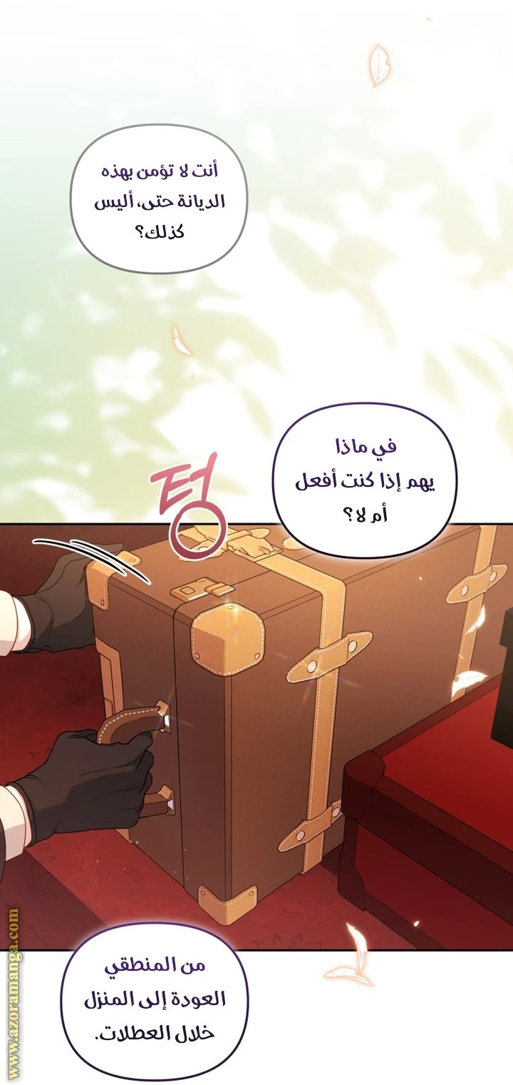 الصفحة 41