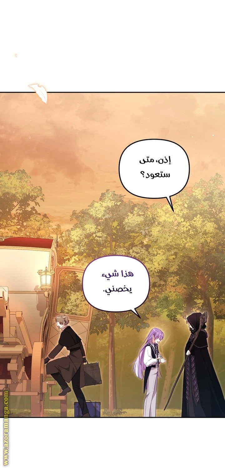 الصفحة 42