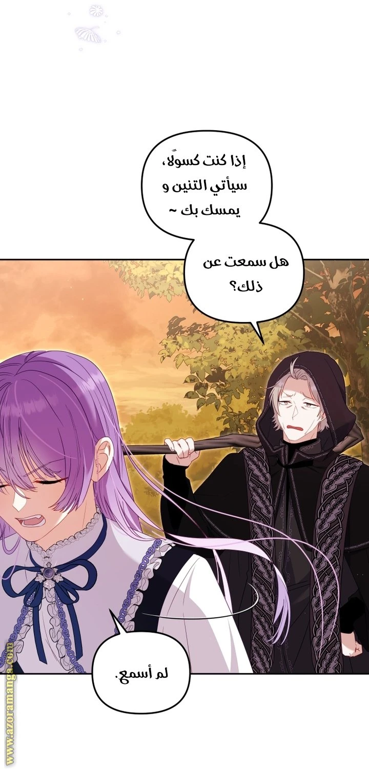 الصفحة 46
