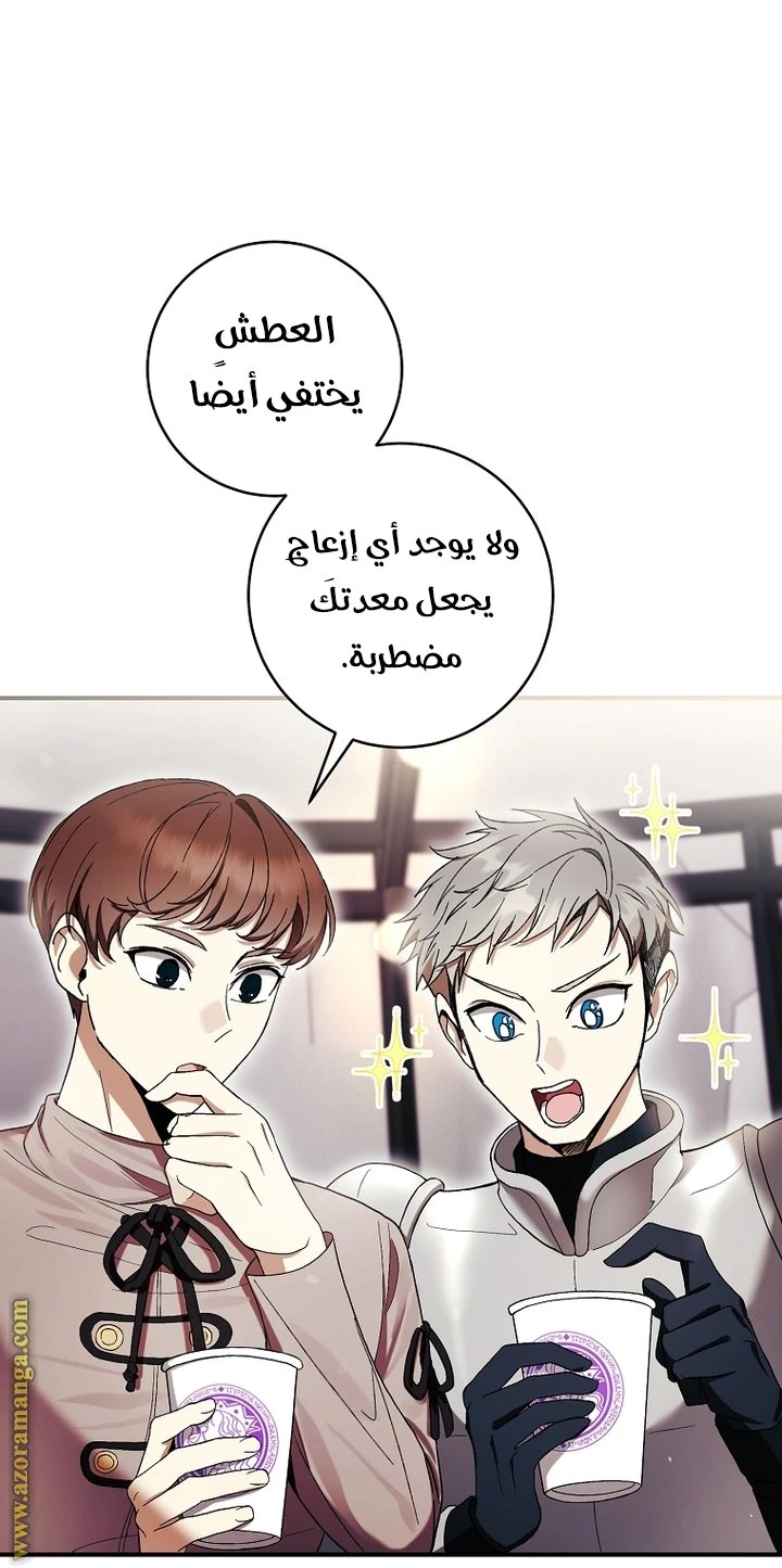 الصفحة 29