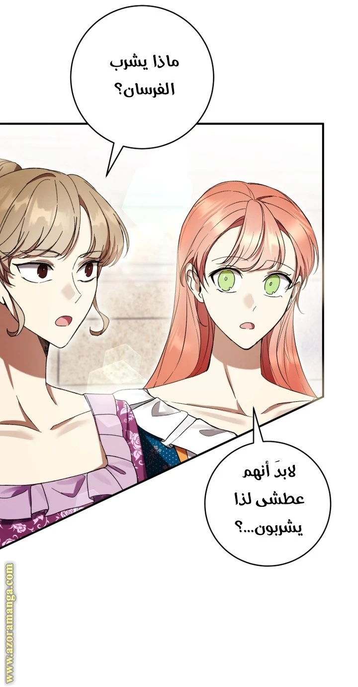 الصفحة 46