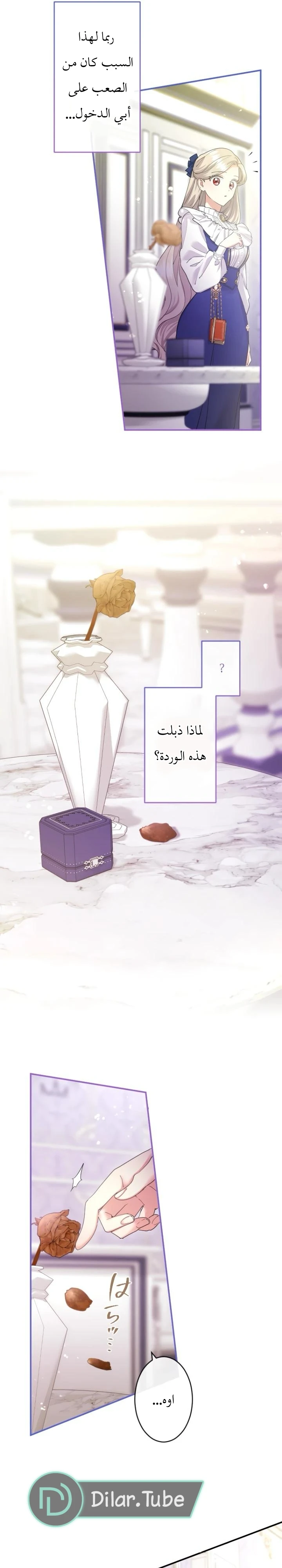 الصفحة 13