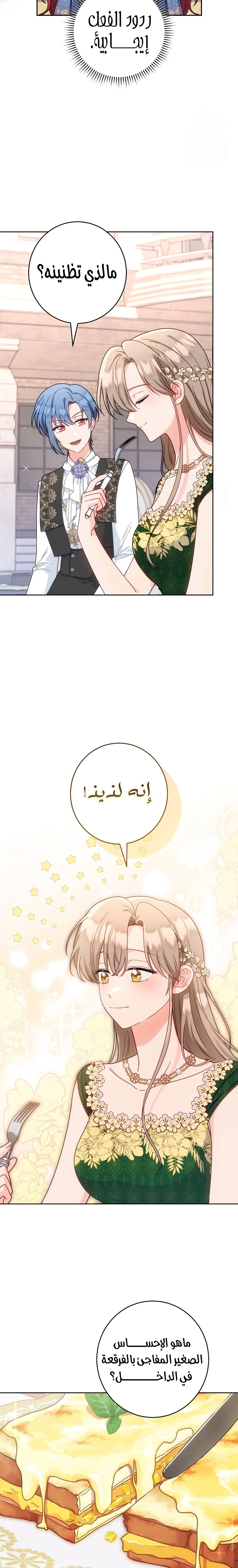 الصفحة 21