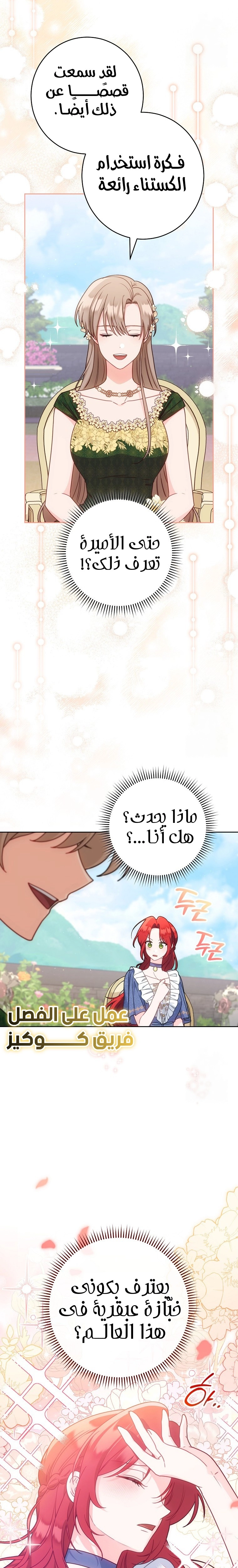 الصفحة 27