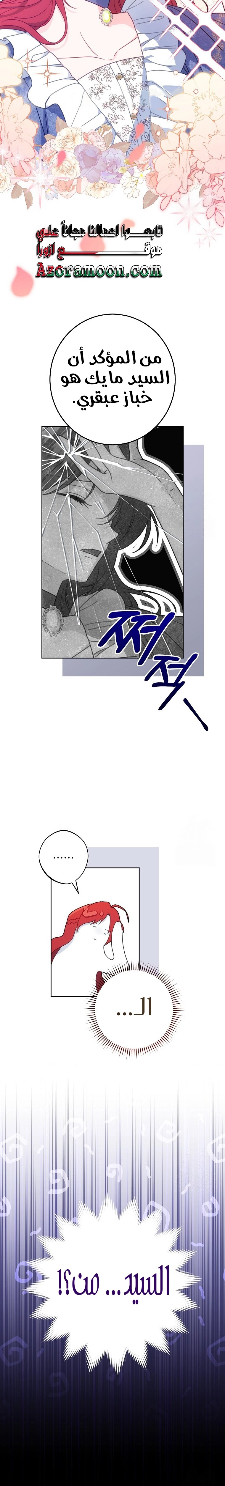 الصفحة 28