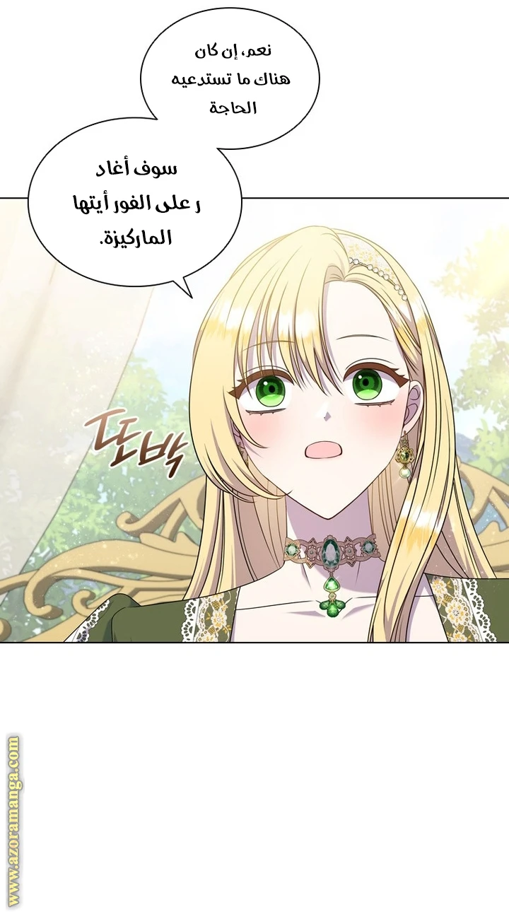 الصفحة 19